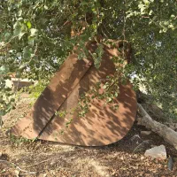 هویزه