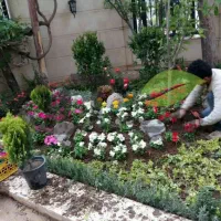 خدمات باغبانی باغچه کاری گلکاری درختکاری خاک گلدون