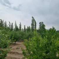 فروش خانه باغ ۱۵۰۰ متر راه قدیم جواش