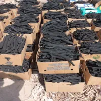 زغال طاق راشددرجه یک مشهد