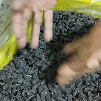 کشمش فخری|خوردنی و آشامیدنی|عجب شیر, |دیوار