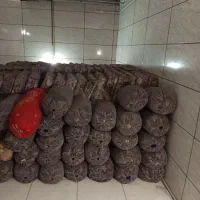 پشتی و بالشت مناسب سفره خانه و منزل|پشتی|اسلامشهر, زرافشان|دیوار