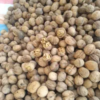 گردوبادام انجیرتوت سنجد رب انار هورامان درجه ۱|عمدهفروشی|بیجار, |دیوار