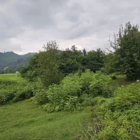 زمین-باغی-میکونی