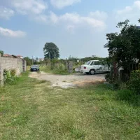 فروش-زمین-1000-متری-در-طالش-محله-نشتارود