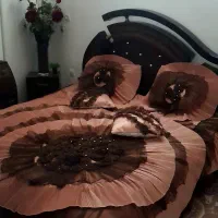 روتختی