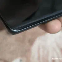 شیامی12x|موبایل|زاهدان, |دیوار