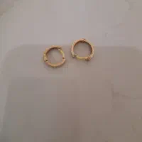 گوشواره و ۲ عدد سکه ۴۰۰ صوتی پارسیان