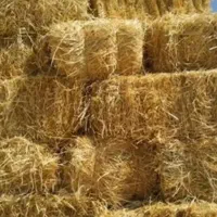 کاه پرس شده برنج(سراچینا)