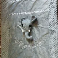 روتختی نوزادی