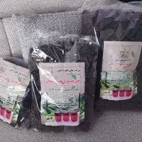 چای یاقوت ایمان ،چای ایرانی قلم بهاره  لاهیجان|خوردنی و آشامیدنی|مشهد, گاز|دیوار