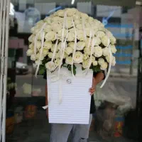 گل رز طبیعی .ودسته گل طبیعی با گل رز وگل های خوشگل|گل و گیاه طبیعی|کرج, حصارک پایین|دیوار