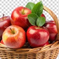 جذب سرمایه گذار .شریک