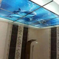 اسمان مجازی تایل اسمان چاپی تایل سقفی چاپ مستقیم|مصالح و تجهیزات ساختمان|تهران, بلورسازی|دیوار