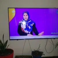 دوو50 هوشمند فورکی