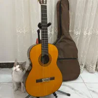 گیتار یاماها مدلc70|گیتار، بیس، امپلیفایر|رشت, استقامت ۱|دیوار