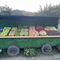 فروش گاری میوه|فروشگاه و مغازه|ماسال, |دیوار