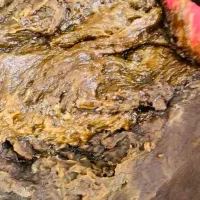 صابون پسماند روغن گیاهی 2 تن|آرایشی، بهداشتی، درمانی|مریوان, |دیوار