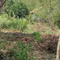 زمین بحر جاده اصلی|فروش زمین و ملک کلنگی|املش, |دیوار