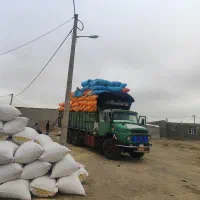 کاه کردستان بابهترین قیمت