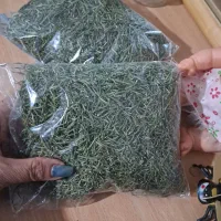 رزماری