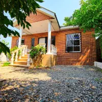 همکف-250متری-درختان-سرسبز-شهرکی-تهرانینشین