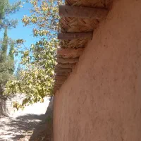 کاهگل مدرن ضدآب|عمده‌فروشی|شیراز, گچی|دیوار