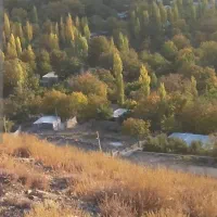 1000 متر زمین در دهبکری