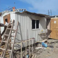 کانکس|عمدهفروشی|باغستان, |دیوار