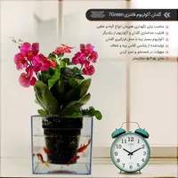 گلدان آکواریومی