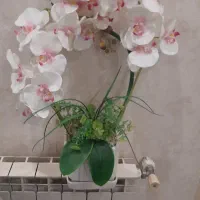 گلدون گل ارکیده