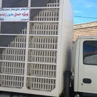 ایسوزو