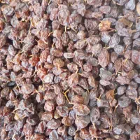 مویز و کشمش مرغوب