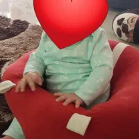 صندلی کمکی کودک|تخت و صندلی بچه|مشهد, فارغ التحصیلان|دیوار