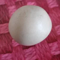 سنگ قیمتی|کلکسیون اشیاء عتیقه|فیروزآباد (فارس), |دیوار