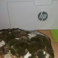 خاص  ترین سنگ|کلکسیون اشیاء عتیقه|ماکو, |دیوار