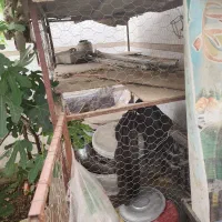 قفس بزرگ دوطبقه اهنی