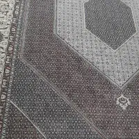 فرش کلافرنک وپوشتی