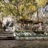 درخواست کادر نیروی مجرب در رستوران شایگان نوین