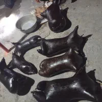 هیزه.‌تازه‌وبدون‌عیب
