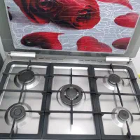 گاز فر دوجوجه مارک اسنوا