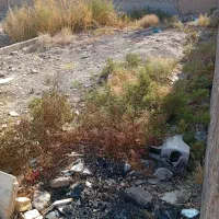 زمین-فروشی