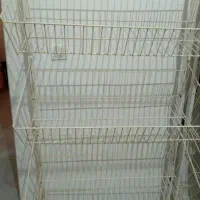 سبد سوپرمارکتی. قفسه ام دی آف . ترازو قدیمی|فروشگاه و مغازه|هشتگرد, شهرک ریحانه|دیوار