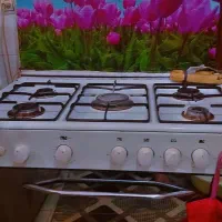 اجاق گاز فر