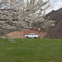 آمیکو آسنا 98 دوگانه سوز معاوضه با کاپرا