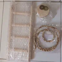 نردبان طوطی و عروس هلندی