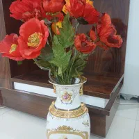 ۱۳شاخه گل شقایق