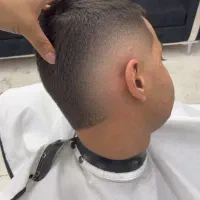 کوتاهی رایگان