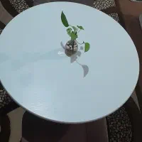 میزناهارخوری زیرقیمت
