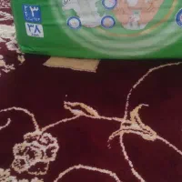 پوشک مولفیکس